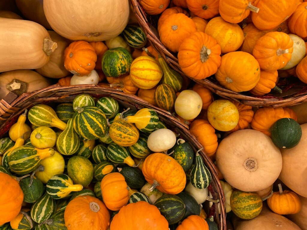 assorted variety of squashes