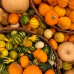 assorted variety of squashes