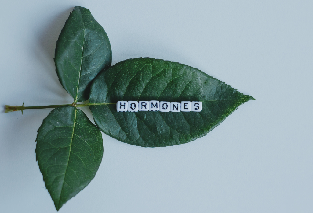 Comment les hormones impactent-elles notre prise de poids ?